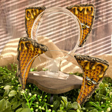 Load image into Gallery viewer, Honeycomb Cat Ears