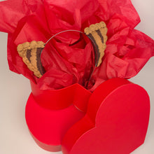 Load image into Gallery viewer, Mini Chocolate Cake Cat Ears